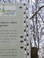 Image de la galerie