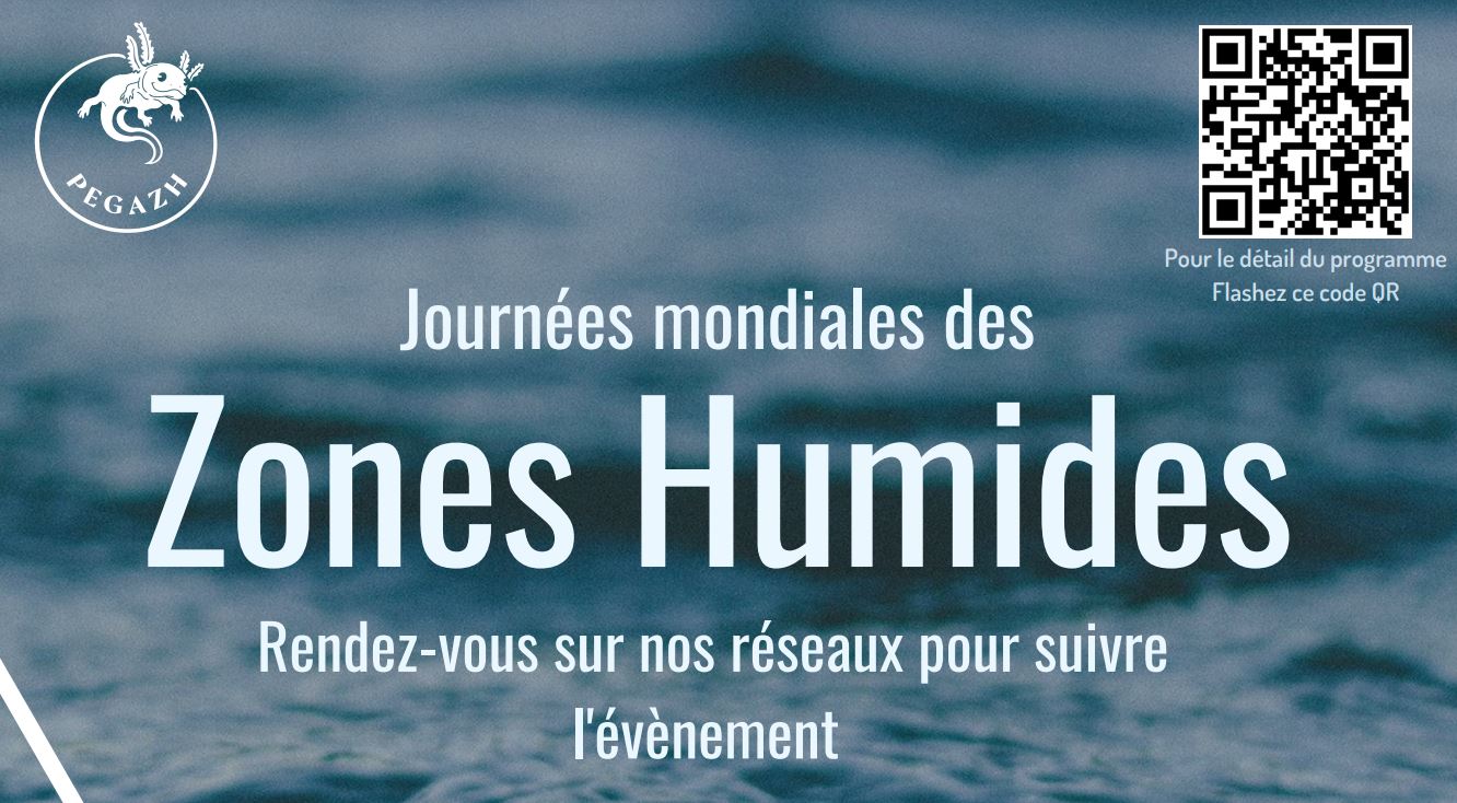 Image de l'actualité
