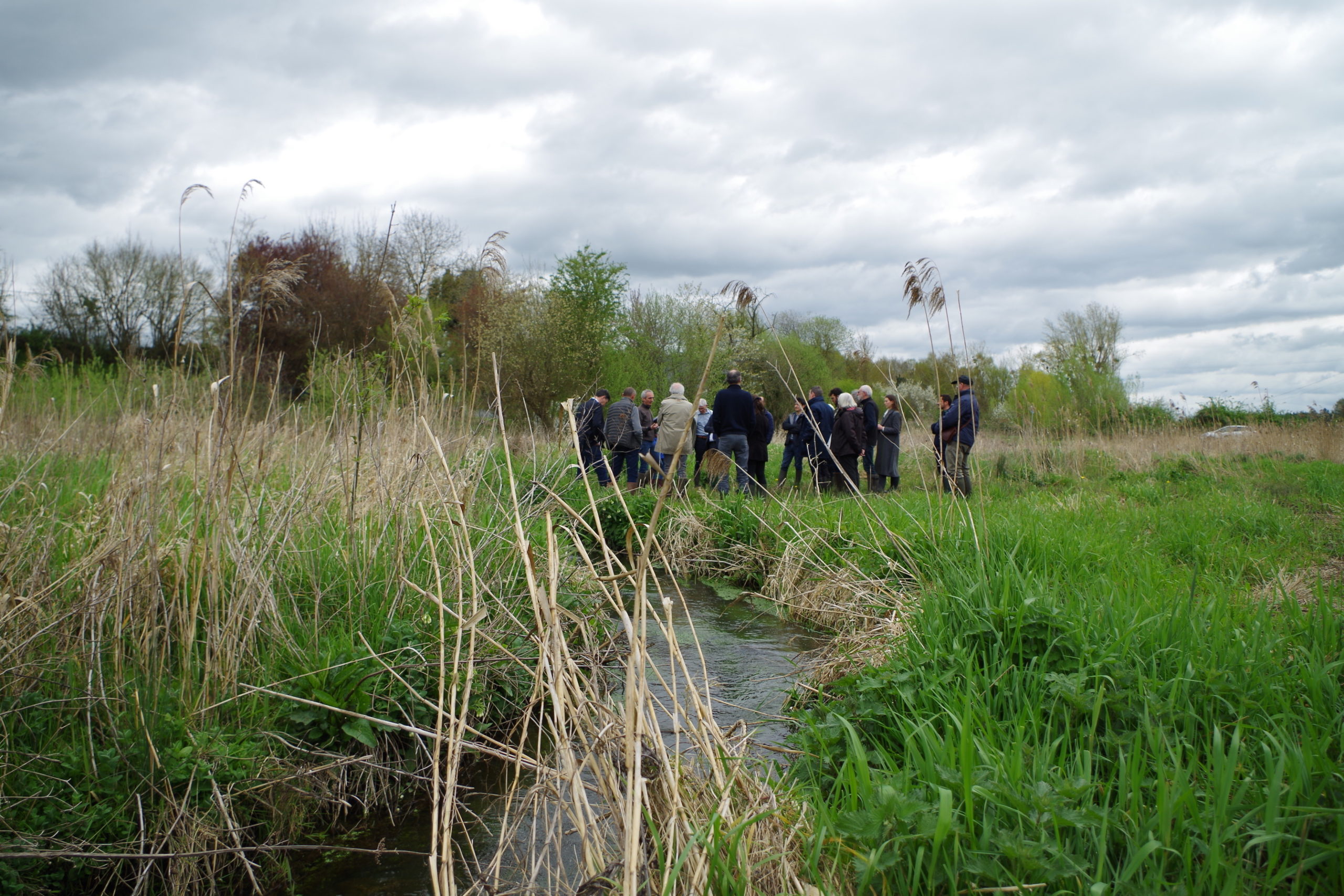Image de l'actualité