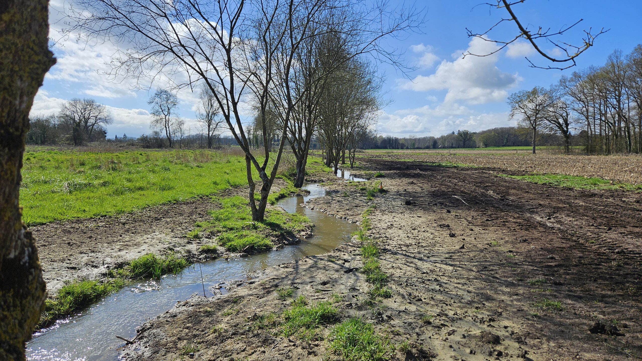 Image de l'actualité